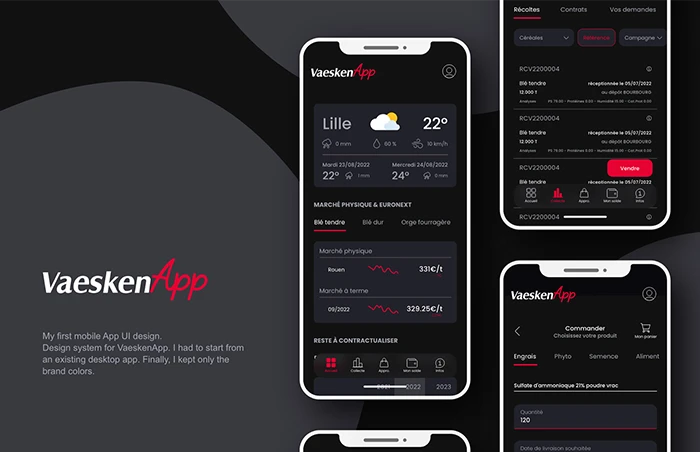 Interface Vaesken App