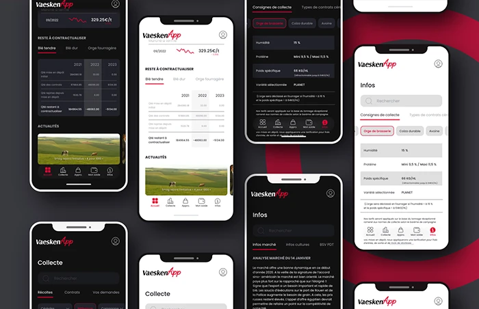 Interface Vaesken App