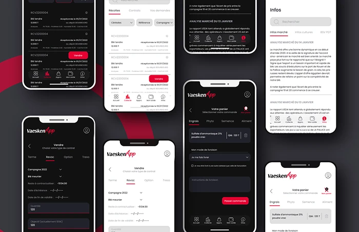 Interface Vaesken App